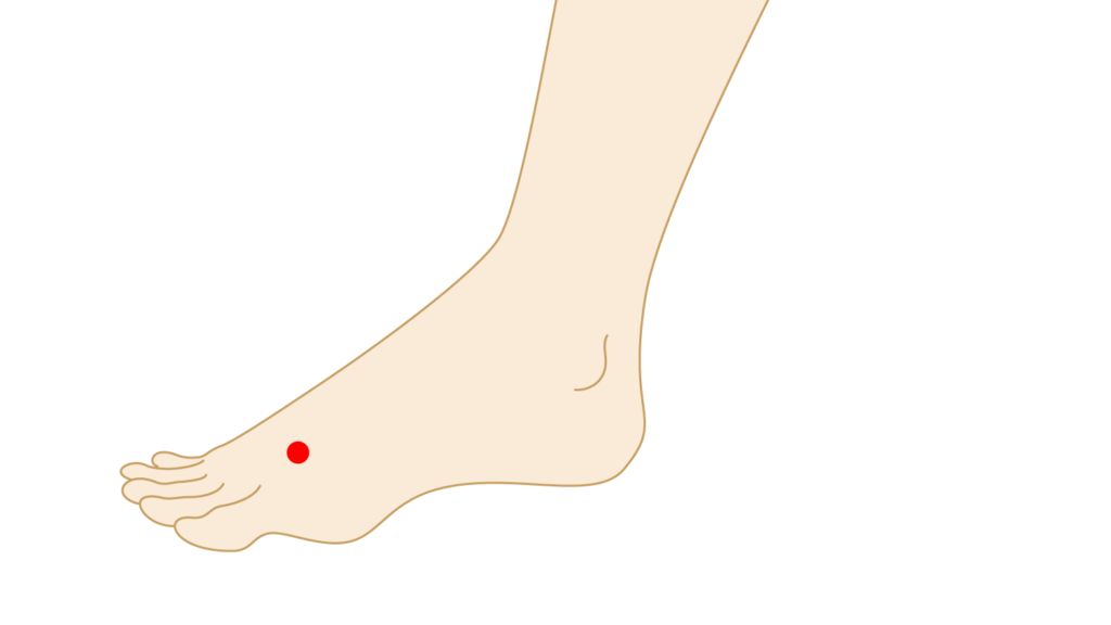 豊橋生理痛のツボ